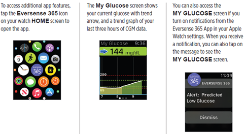 apple watch screen.png